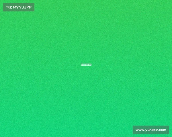 体育 展示现场会